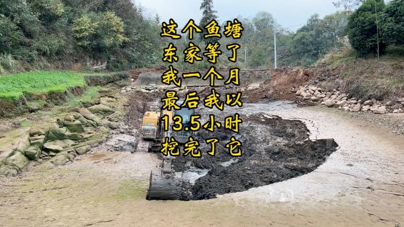 开奖澳门开奖结果+开奖记录表和把西瓜扔鱼塘喂鱼与把西瓜扔鱼塘喂鱼好吗