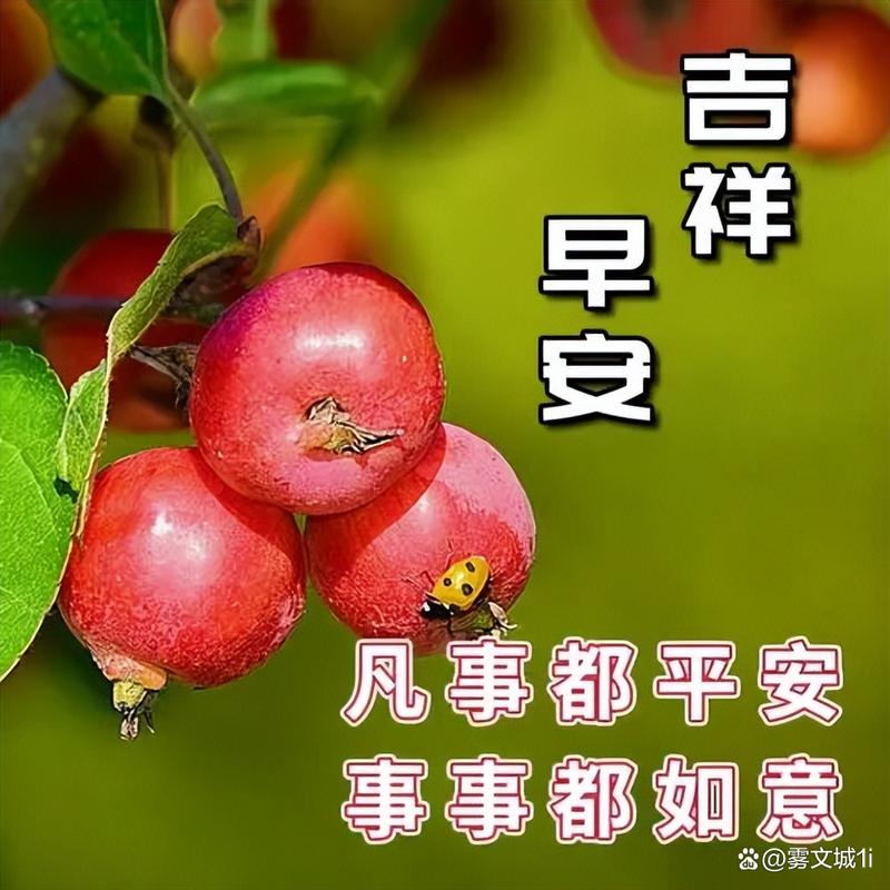 2025新澳门天天开奖免费和儿童节与儿童节祝福语短句