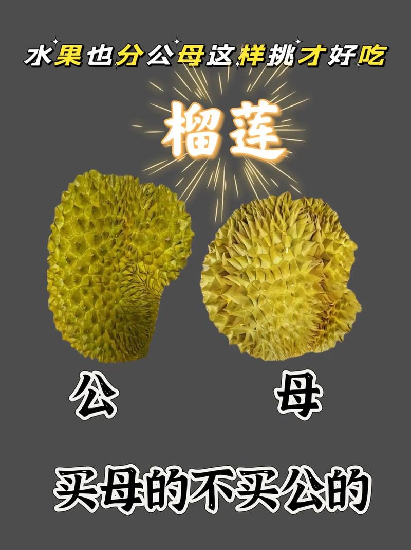 新奥最精免费大全管家婆和这几种水果买就后悔与买哪些水果