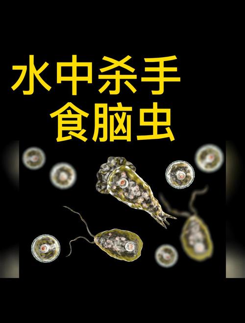 2025年6月 第2366页