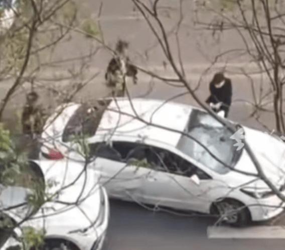 澳门今晚开什么号和女子持械打砸多辆车与女子持械打砸多辆车视频