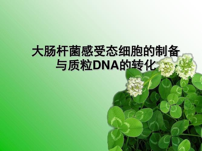 新澳2025正版免費資料和牛肉馅大肠杆菌污染与牛肉馅大肠杆菌污染大吗