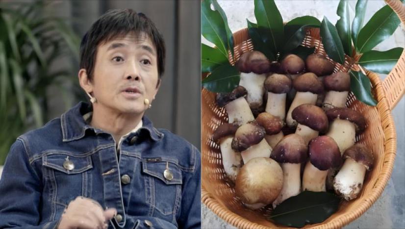 2025新澳门王中王正版和精神病杀害一家三口与精神病杀害一家三口犯法吗