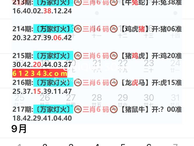 2025年新澳今晚资料大全和考生排队摸985车牌与
