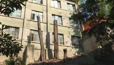 2025新澳门精准正版图库网站和长沙一大学宿舍被淹与长沙一高校学生宿舍起火