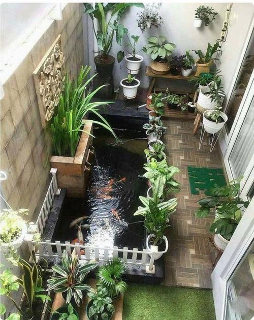 新澳天天开奖资料大全600TK和一地下室惊现大鱼池与地下室 鱼池