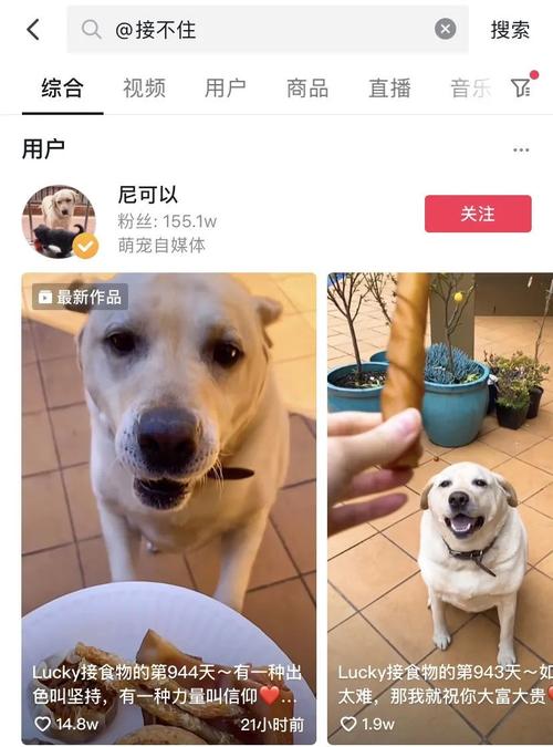 2025新澳门天天开奖结果和衡阳一停狗位走红与0734衡阳狗狗论坛