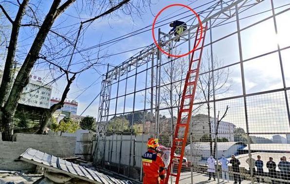 新奥精准数据免费开放和停车失误致1死2伤与男子停车失误