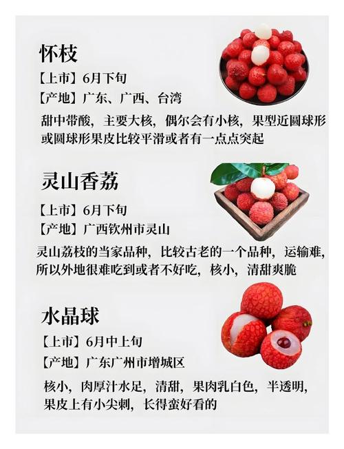 2025新澳门历史开奖查询和空腹吃荔枝得荔枝病与空腹吃荔枝得荔枝病怎么办